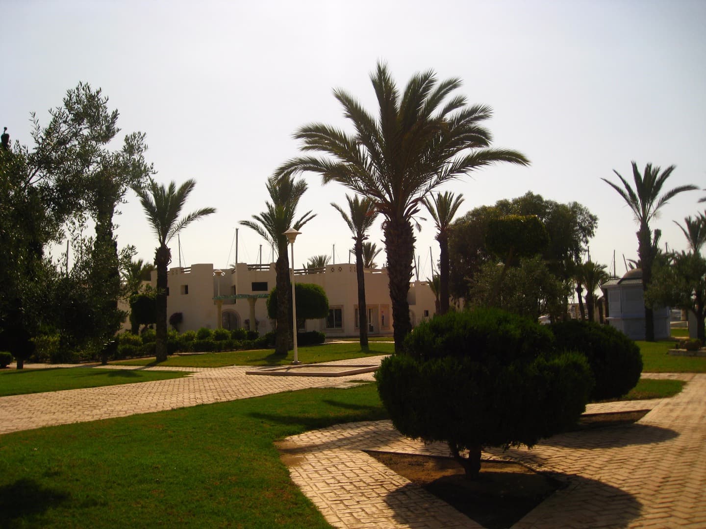 img-0253.jpg