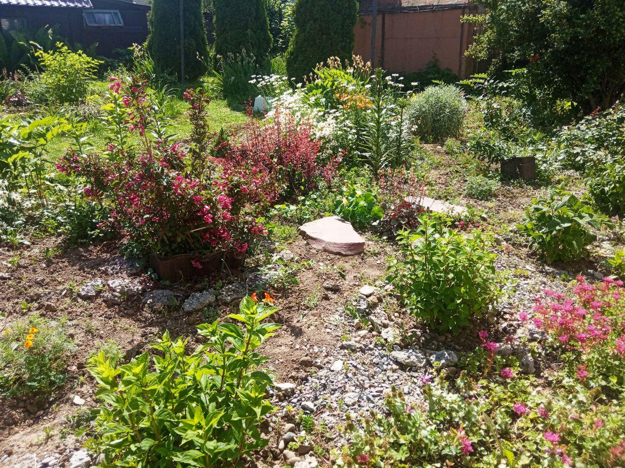 Цветы у дома