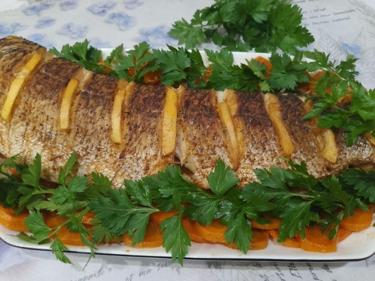 Zapezhennaya Zhyka 22