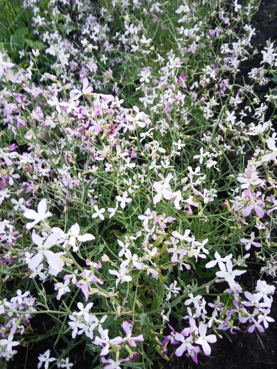 Photo 2019 06 22 23 15 11.jpg