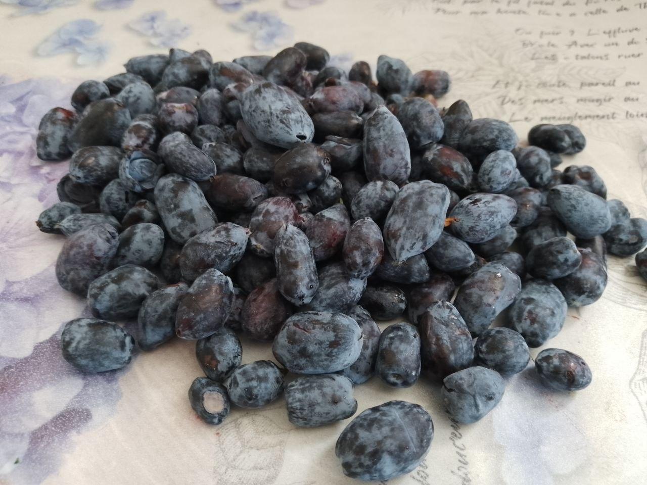 Ягоды жимолости