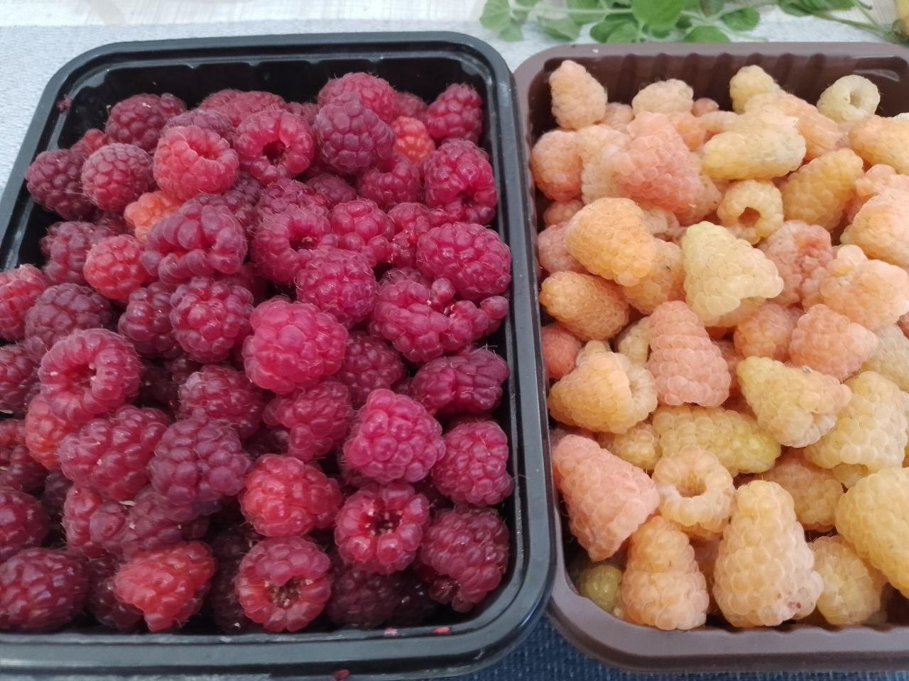 Ягоды малины