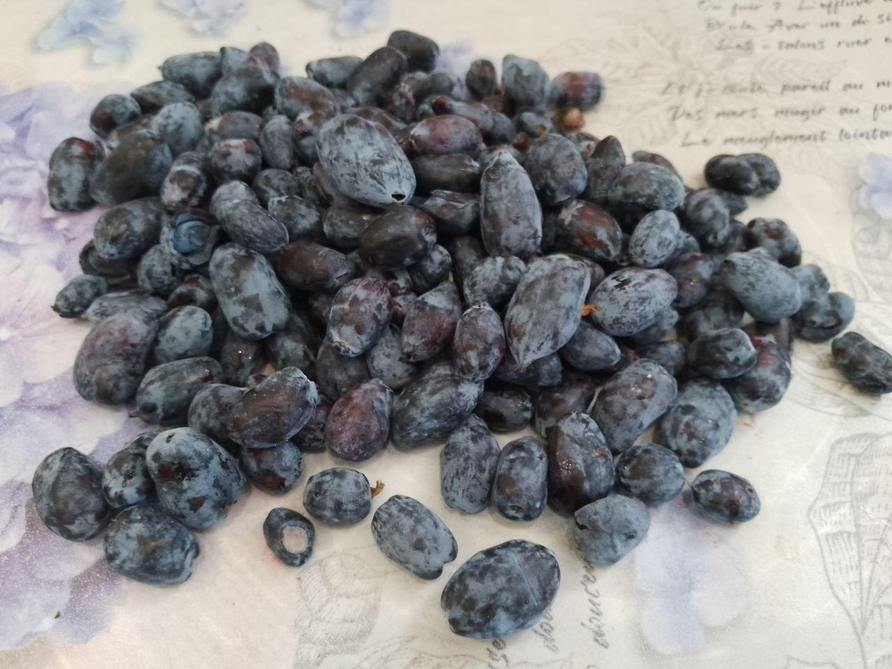 Ягоды жимолости