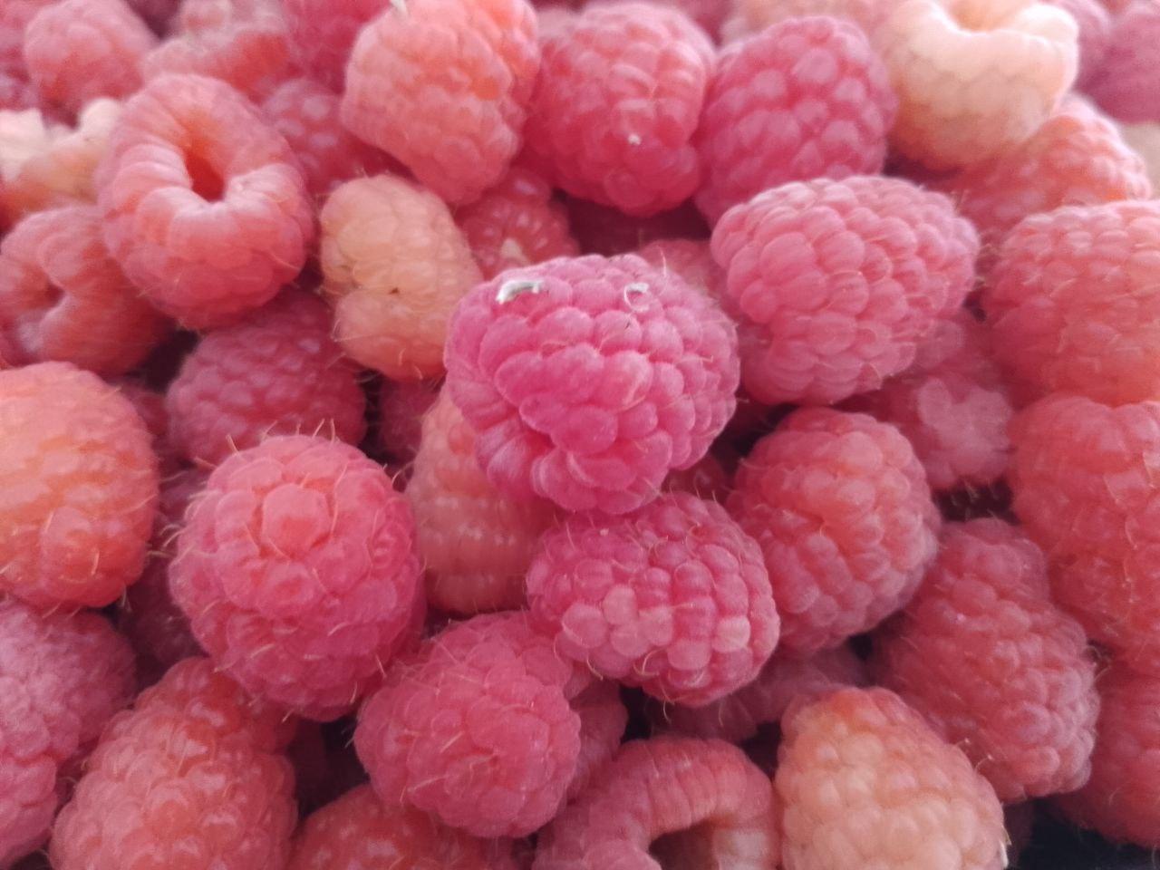 Ягоды малины