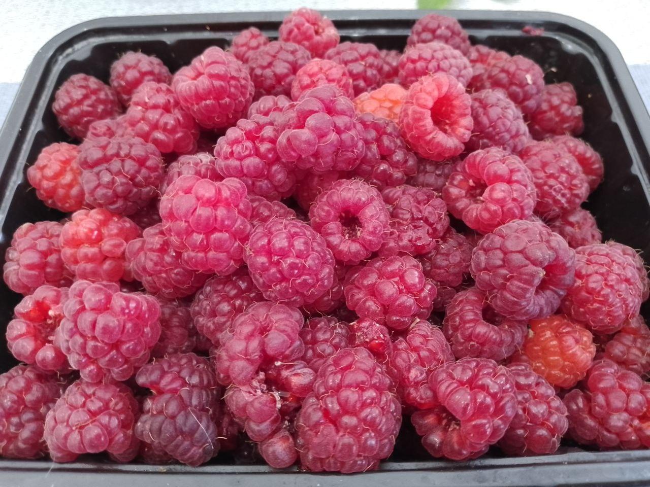 Ягоды малины