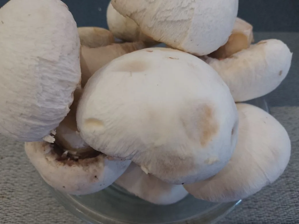 Картофель с начинкой из куриного мяса, шампиньонов и сыра: Шампиньоны очищаем, промываем водой и нарезаем тонкими ломтиками.
