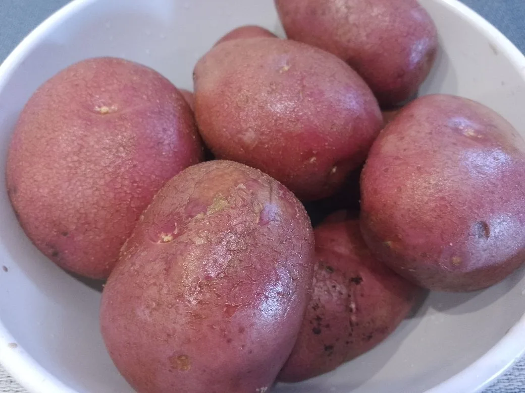 Картофель с начинкой из куриного мяса, шампиньонов и сыра