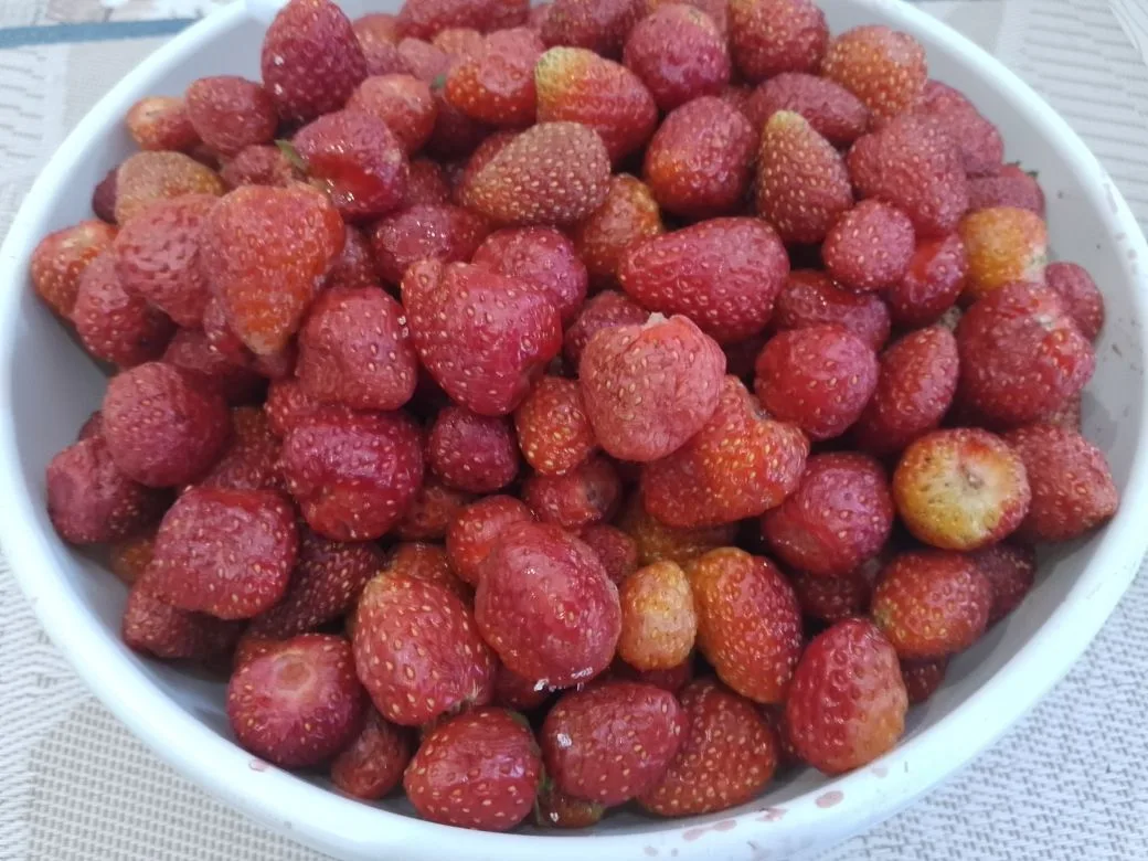 Желе из ягод клубники и жимолости, нежное и вкусное: Ягоды клубники и жимолости, перебираем, удаляем хвостики, промываем водой и просушиваем.