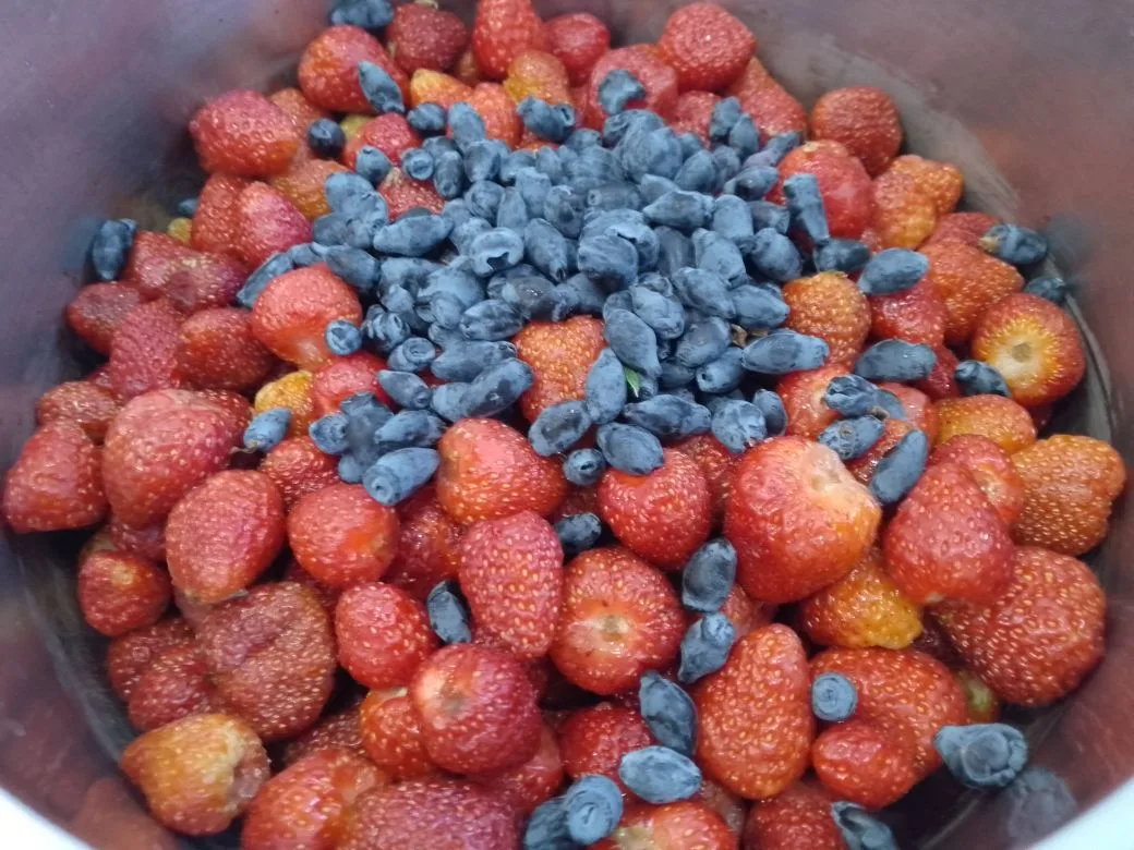 Желе из ягод клубники и жимолости, нежное и вкусное: Ягоды клубники и жимолости, перебираем, удаляем хвостики, промываем водой и просушиваем.