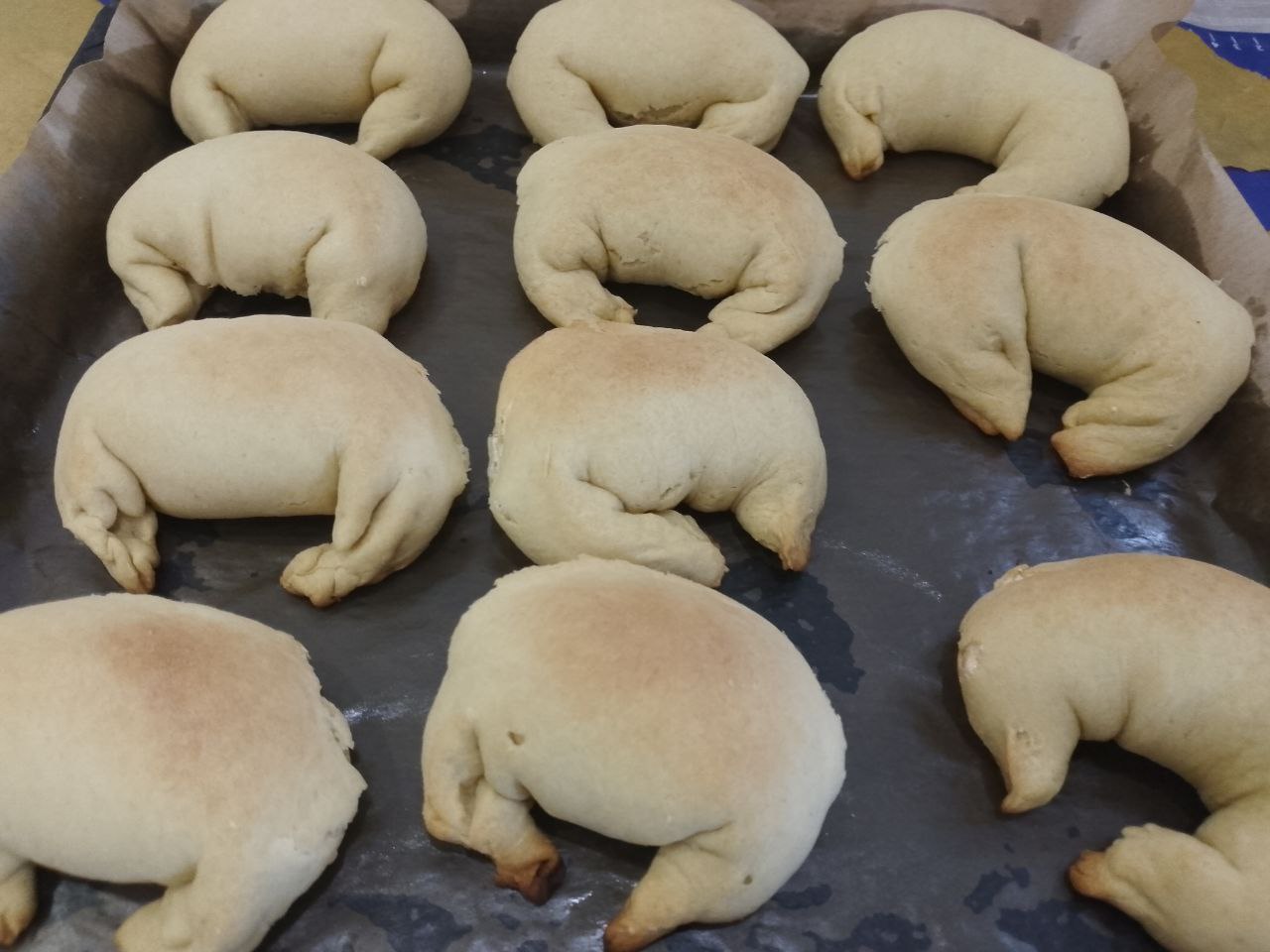Песочное печенье с белковой начинкой, дополненной крахмалом и кокосовой стружкой: Духовку разогреваем до 180 С и ставим печенье для выпекания. Печенье выпекаем около 15-20 минут, до